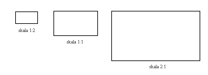 skala i plan